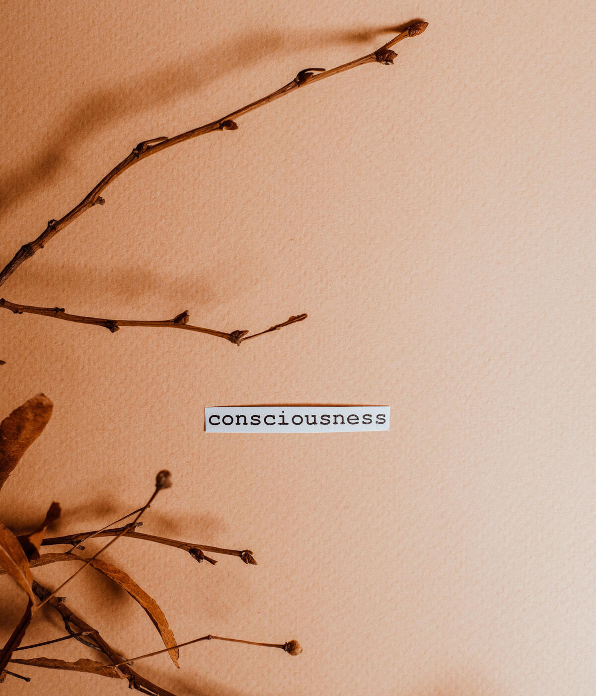 High converting offer